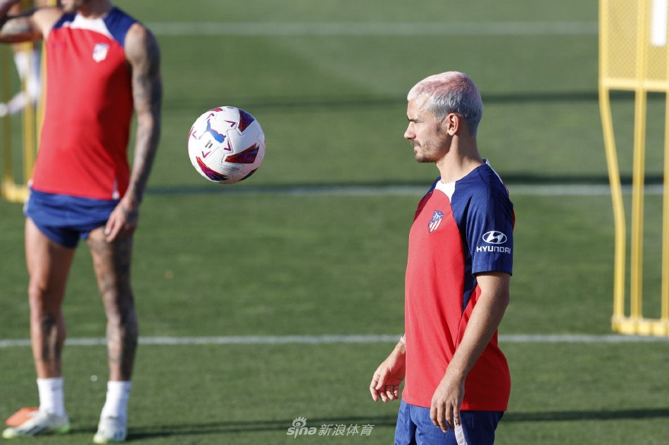 那不勒斯的 那不勒斯的