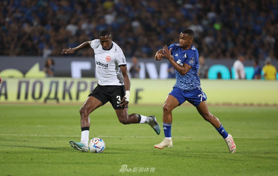 两位教练希 两位教练希